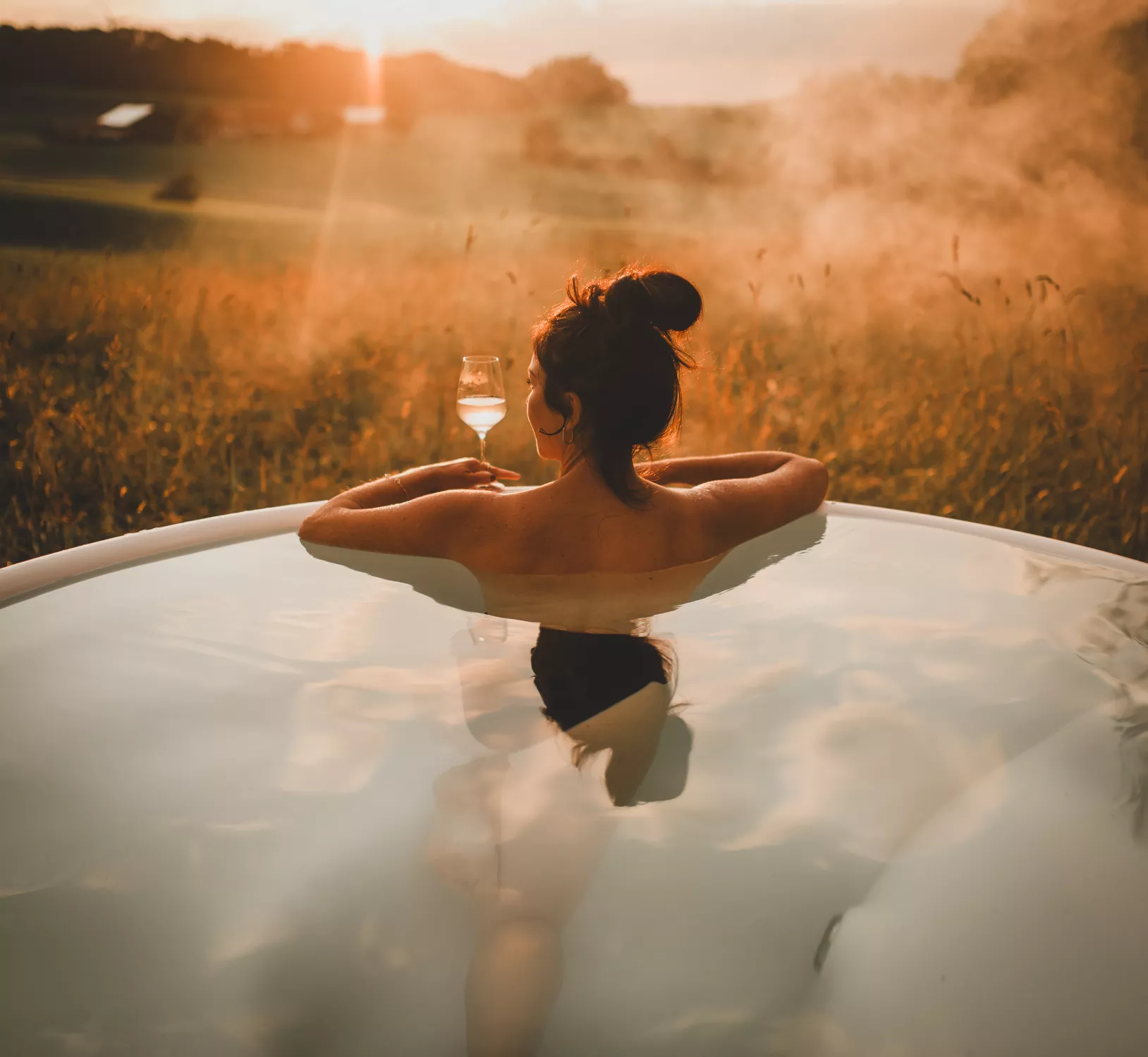 Wellness Wellness
