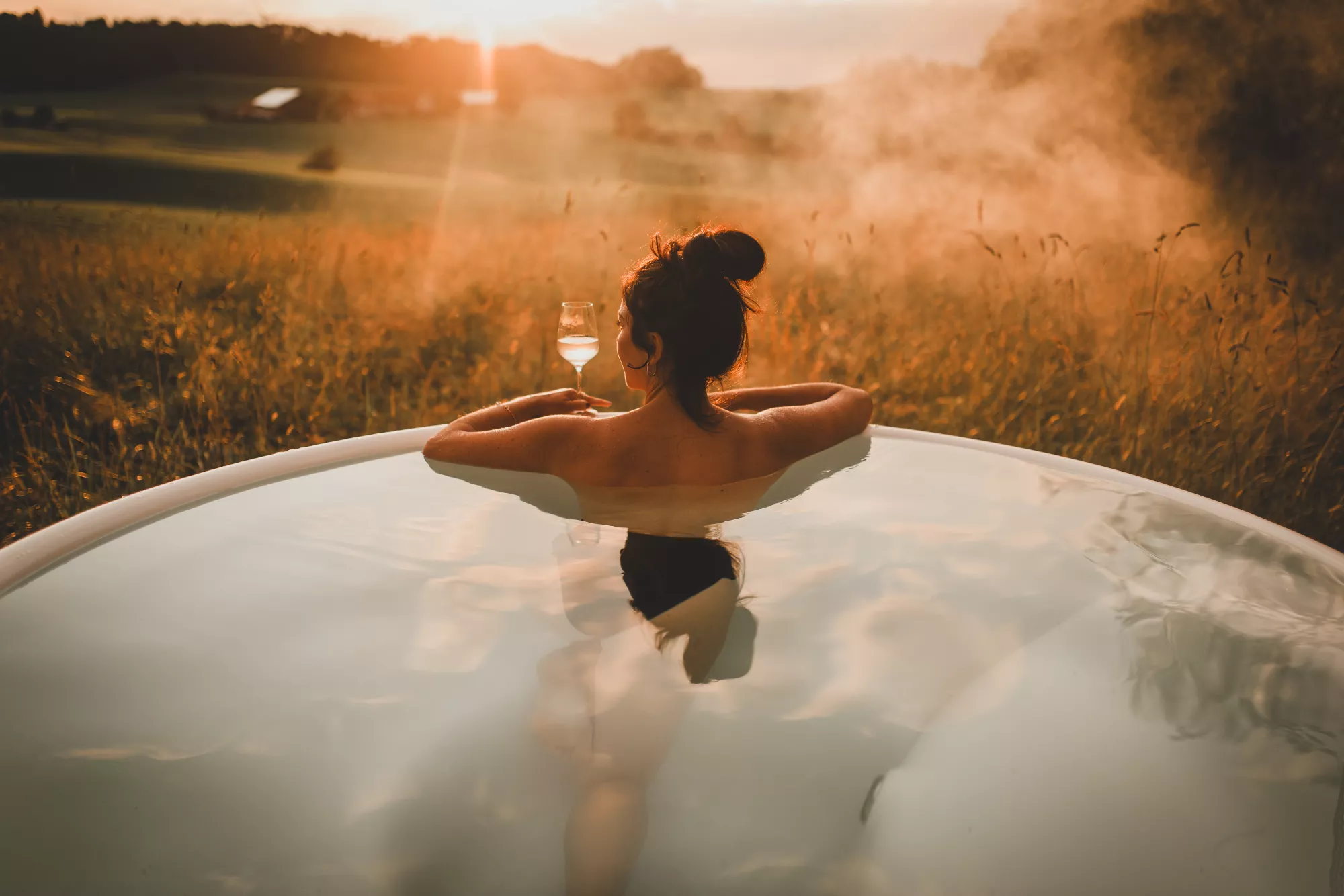 Wellness Wellness